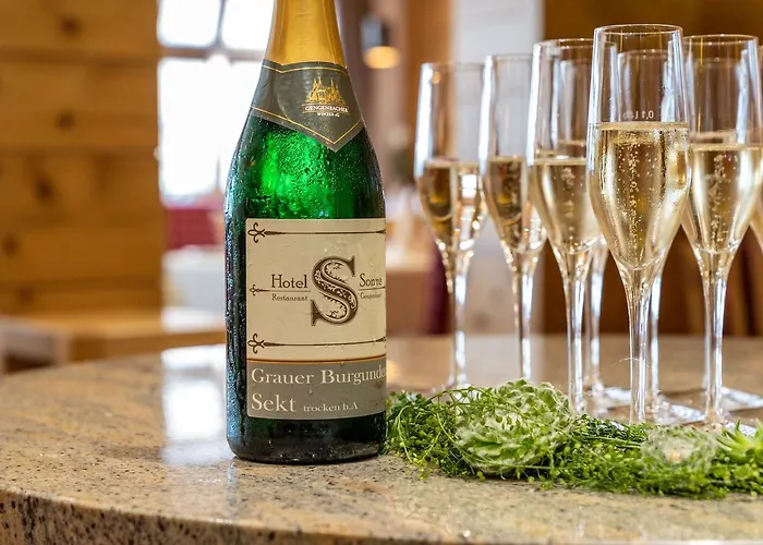 Hotel Restaurant Sonne 3*